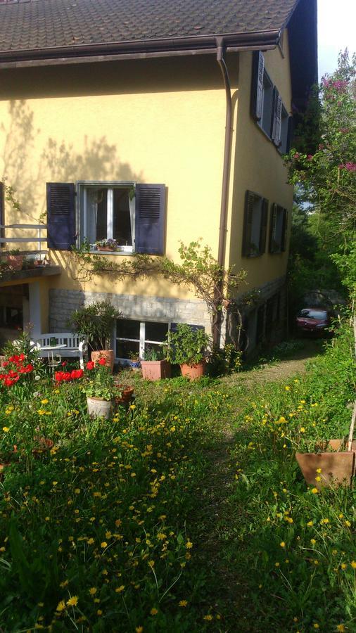 ריינפלדן B&B Am Park מראה חיצוני תמונה
