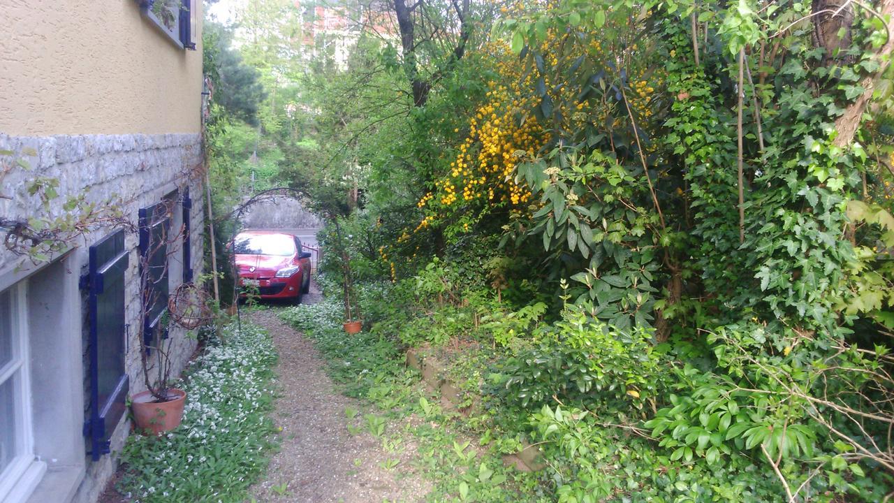 ריינפלדן B&B Am Park מראה חיצוני תמונה