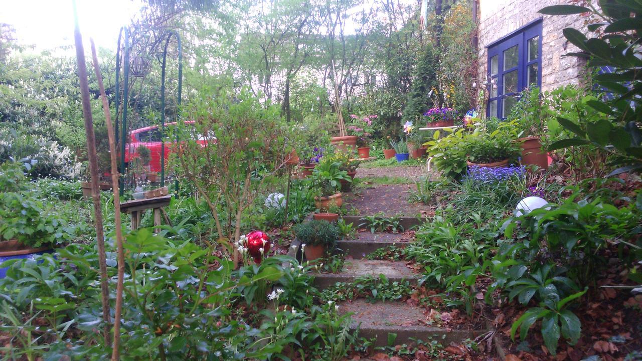 ריינפלדן B&B Am Park מראה חיצוני תמונה