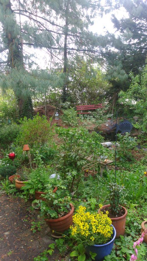 ריינפלדן B&B Am Park מראה חיצוני תמונה